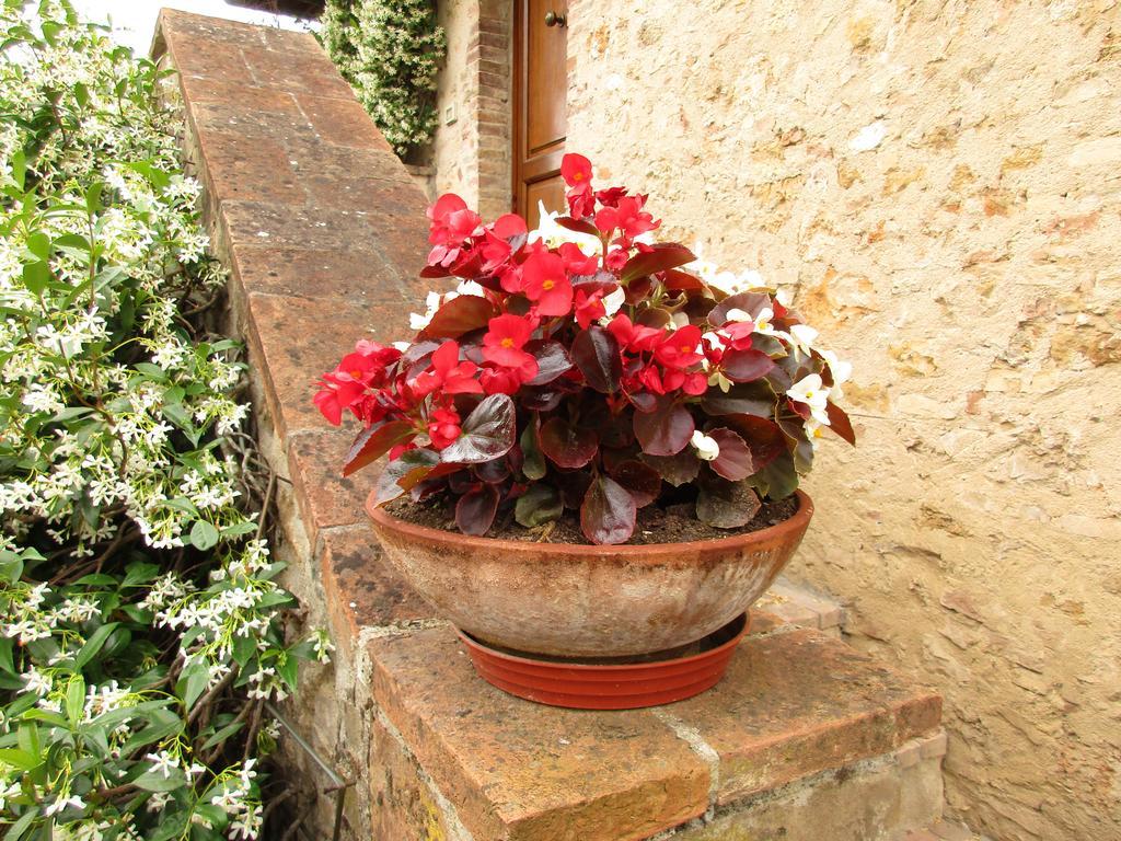 Willa Agriturismo Podere Cappella San Gimignano Zewnętrze zdjęcie