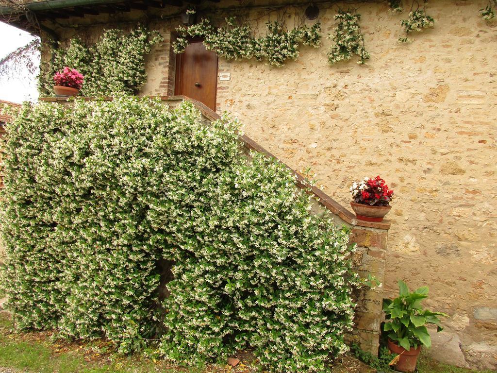 Willa Agriturismo Podere Cappella San Gimignano Zewnętrze zdjęcie